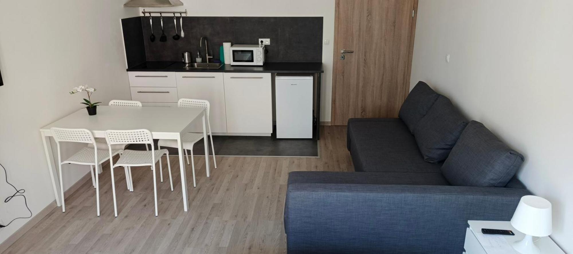 Brand New Two Room Apartment #23 With Free Parking In The City Center - Prague — Photos 2